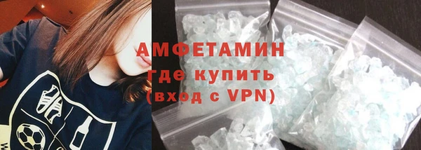 прущие грибы Козельск