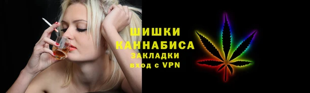 мдпв Козловка