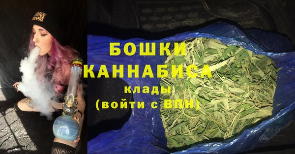 мдпв Козловка