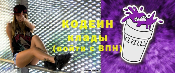 прущие грибы Козельск
