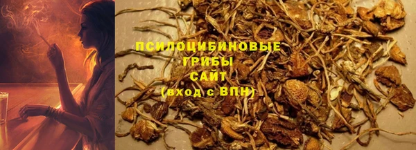 прущая мука Кодинск
