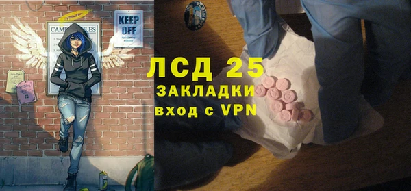 прущие грибы Козельск