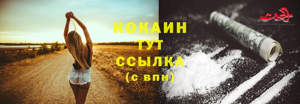мдпв Козловка