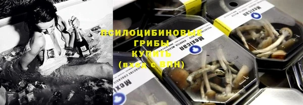 прущие грибы Козельск