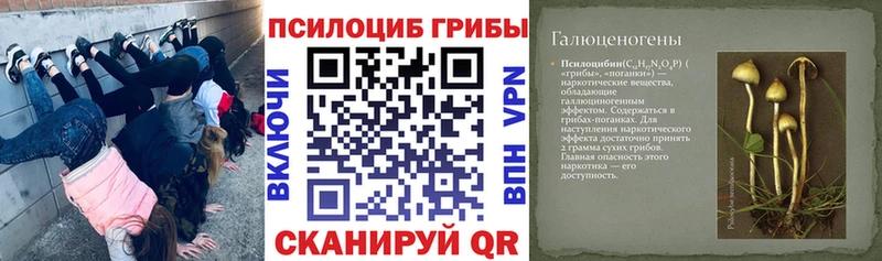 Галлюциногенные грибы Magic Shrooms  Купить закладки  Азов 