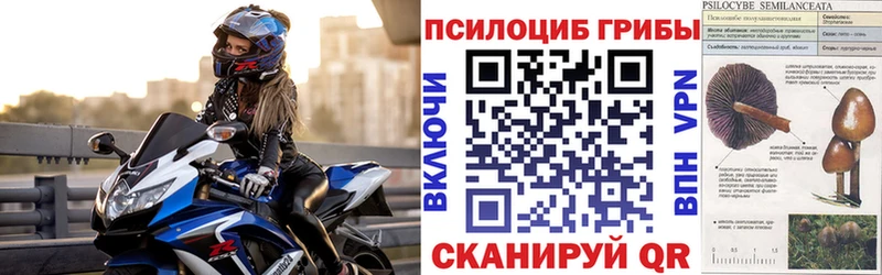 Галлюциногенные грибы MAGIC MUSHROOMS Азов